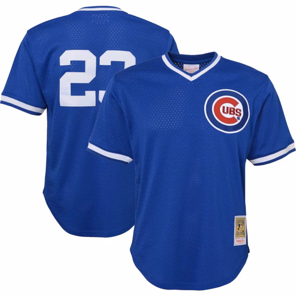 Ryne Sandberg Chicago Cubs Mitchell & Ness Youth Cooperstown Collection&nbsp;Mesh Batting Practice Jersey - Royal